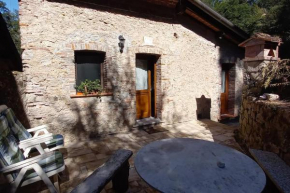 Olive mill in the heart of Camaiore